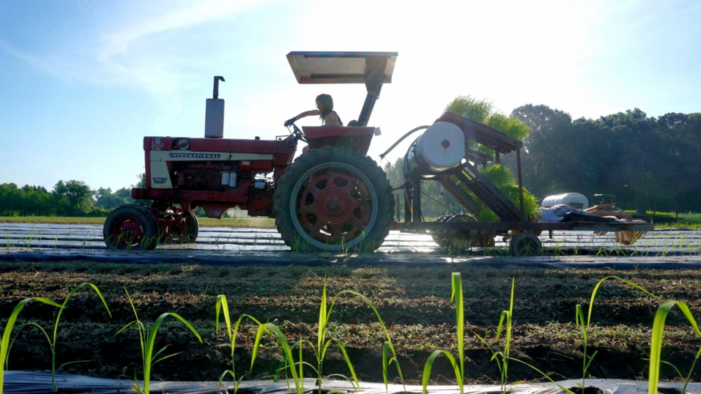 Farmer on a tractor produces local foor to distribute at Next Step Produce