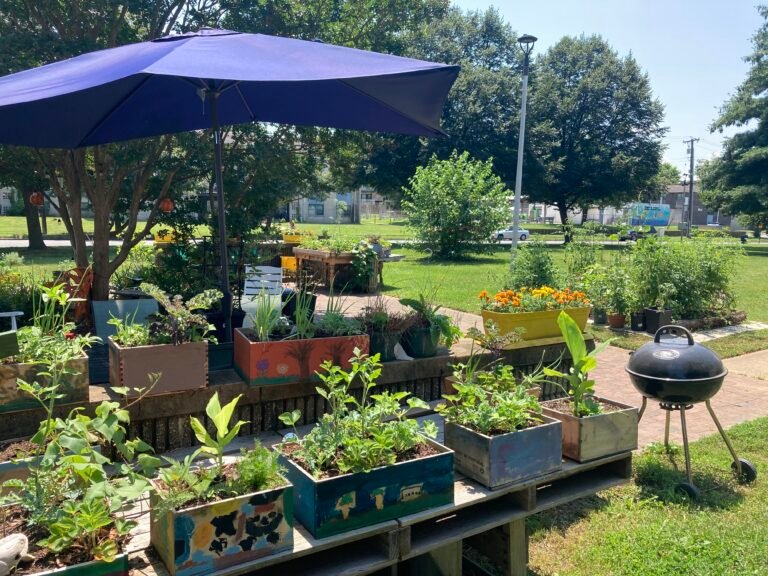 The Healing Garden growing well