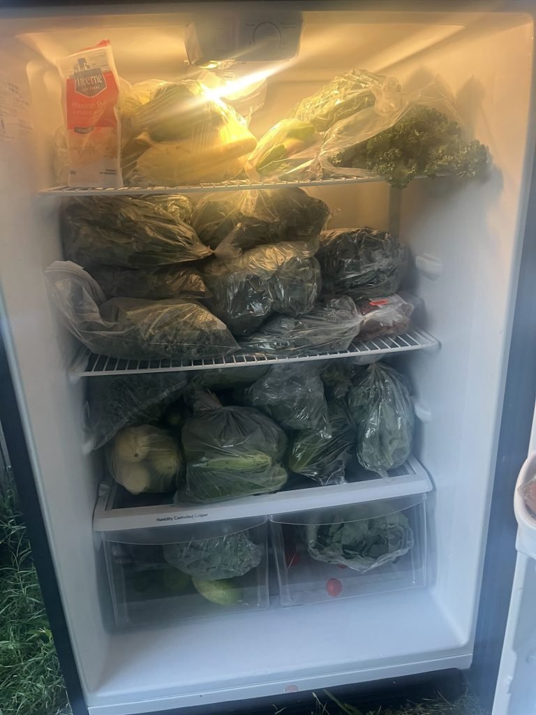 Our household fridge jam-packed with vegetables from the farm