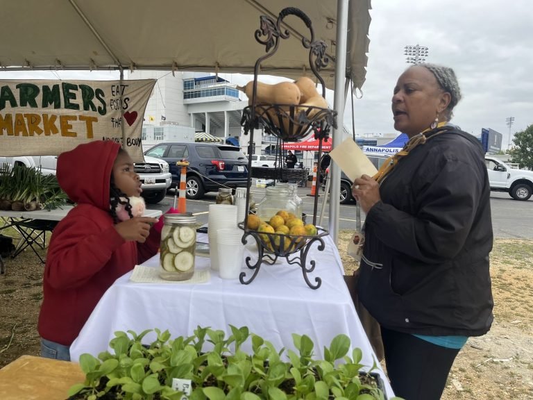 Asha Pearl selling lemonade at the Joy Grows farm stand at the Kunta Kinte Festival
