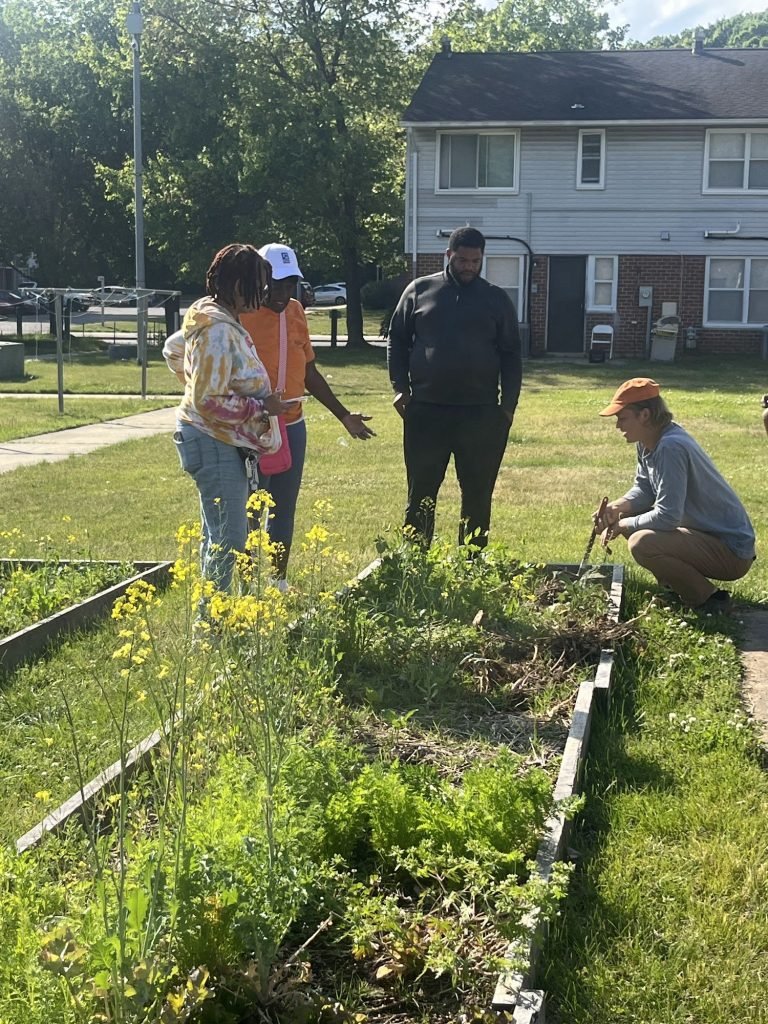 Planting at Robinwood's Great Garden with teens